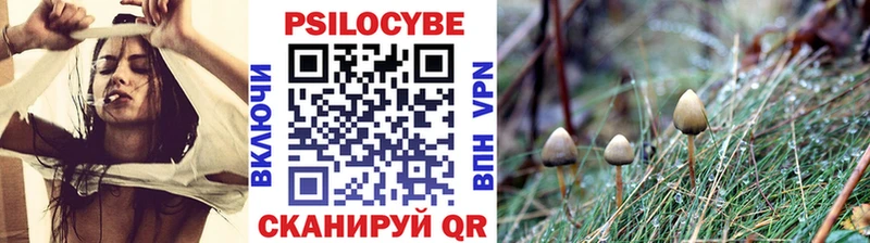 хочу   Сельцо  гидра tor  Галлюциногенные грибы мухоморы 